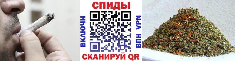 купить  цена  Алупка  Бутират буратино 