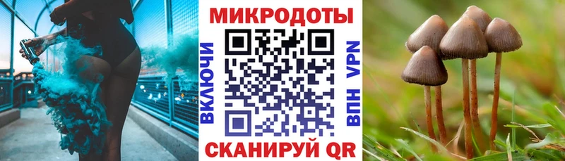 Галлюциногенные грибы Cubensis Алупка