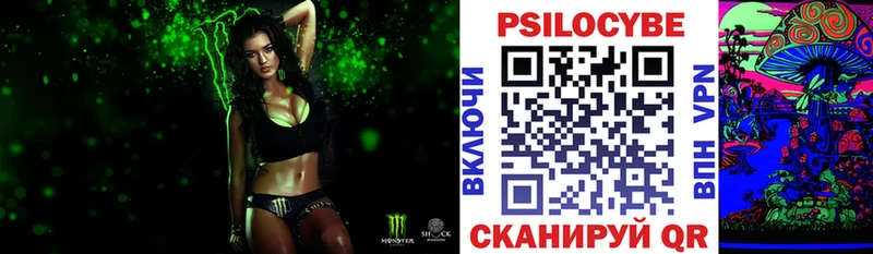 Галлюциногенные грибы Psilocybe  omg маркетплейс  Алупка  дарнет шоп 